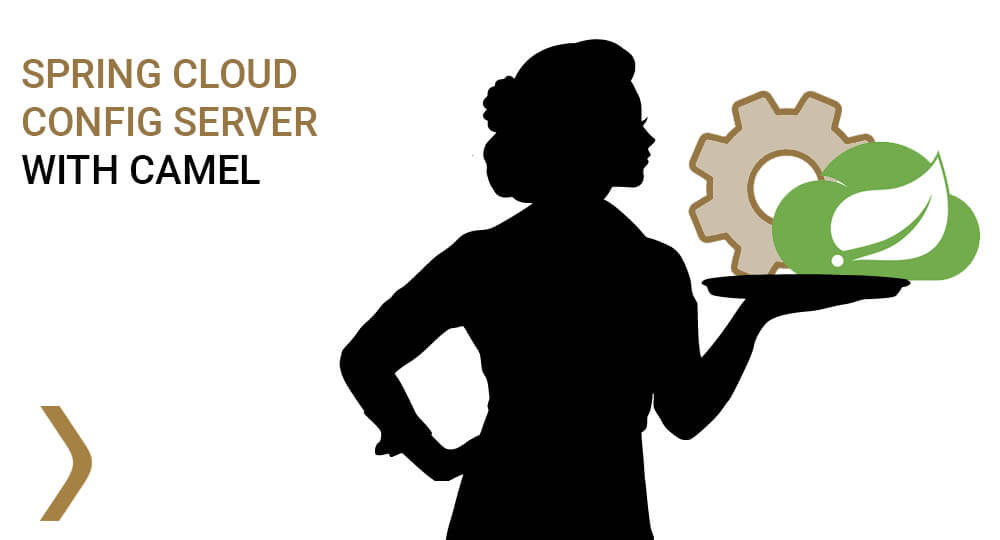 Spring Cloud Config Server